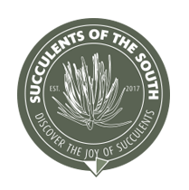Succulents of the South