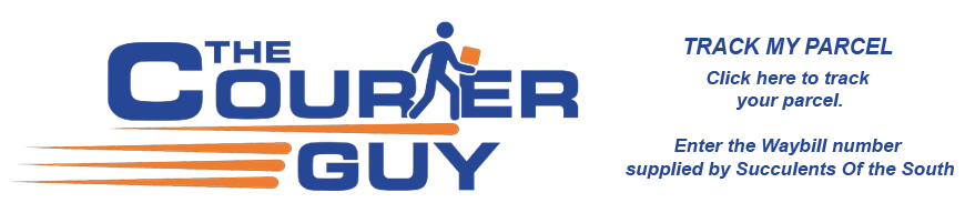 The Courier Guy Track my parcel